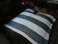 1348969824YR8evb2BF_7vZFP_1348969822.gif