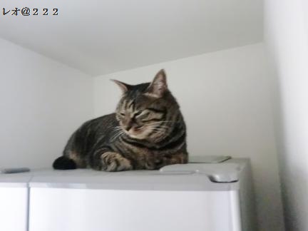CIMG2365_convert_20120715124026.jpg