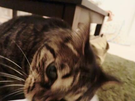 CIMG2616_convert_20120830221656.jpg