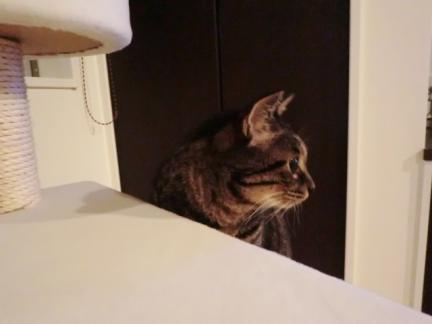 CIMG2736_convert_20120926232659.jpg