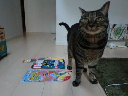 CIMG2768_convert_20120930213654.jpg