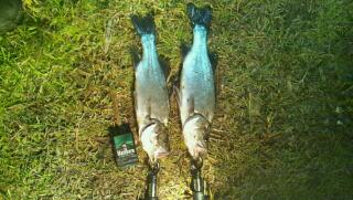 20121024_211257.jpg