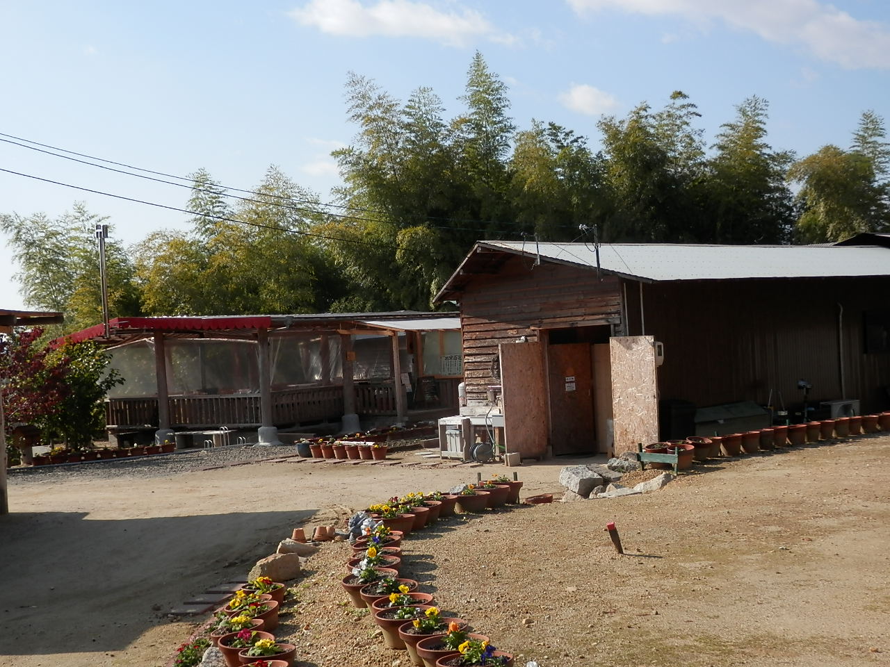 PB030009.jpg