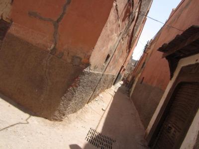 2012spring1 057