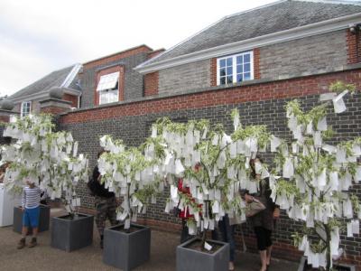 2012spring3 080