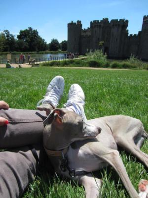 201207Bodiam Castle 028