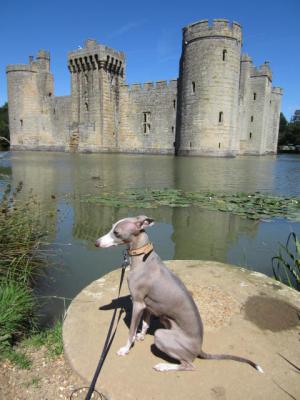 201207Bodiam Castle 005