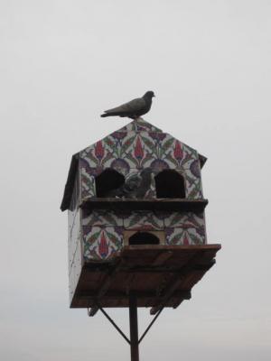 201210Turky 083