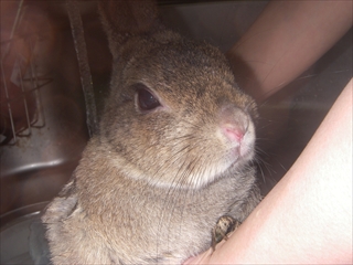 IMGP0074_R.jpg