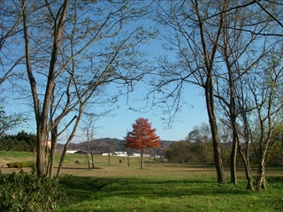 IMGP0113_R.jpg
