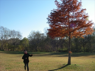 IMGP0116_R.jpg