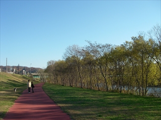 IMGP0118_R.jpg