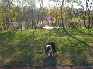 IMGP0120_R.jpg