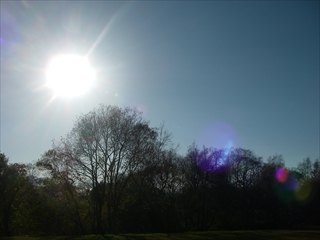 IMGP0122_R.jpg