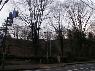 IMGP0155_R.jpg
