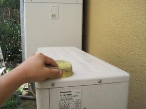 IMG_0291.jpg