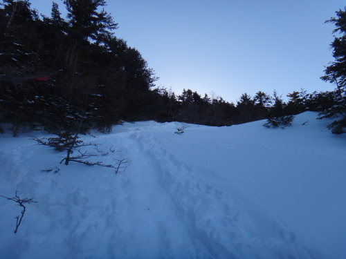 DSC04790.jpg