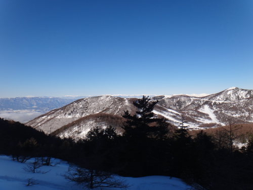 DSC04793.jpg