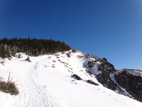 DSC04807.jpg