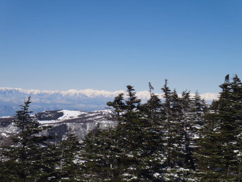 DSC04831.jpg