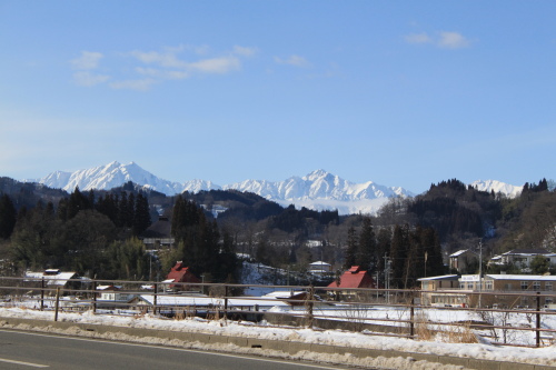 IMG_5378.jpg