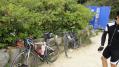 DSC01253.jpg