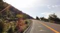DSC01347.jpg