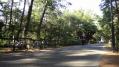 DSC01394.jpg