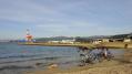 DSC01412.jpg