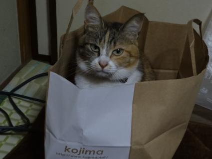 いっひっひ