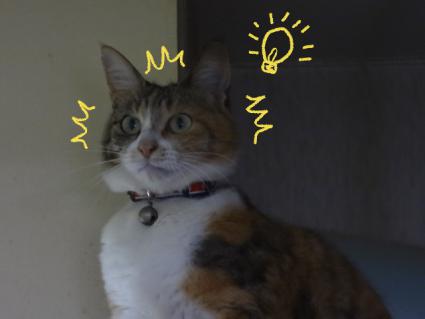 ひらめいた