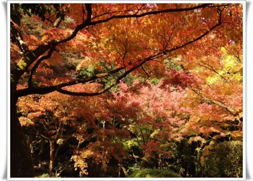龍野20141116003