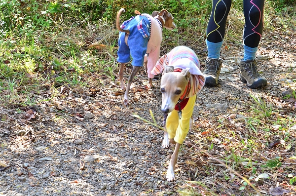 s-20141018_15449D7t.jpg