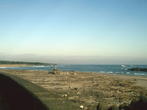 浜通り