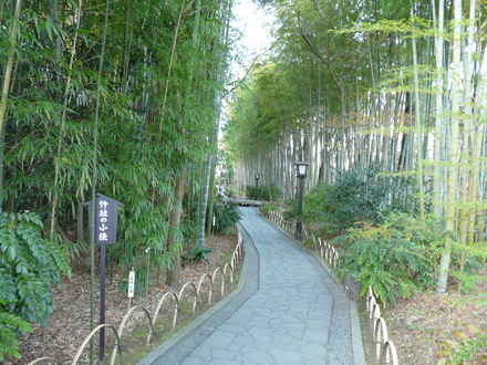 伊豆