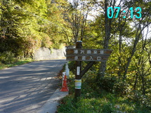 日光