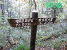 日光