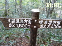 日光