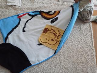 13-01-13_009.jpg
