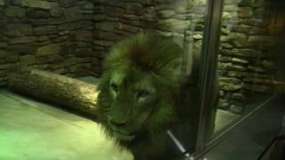 IMG_0189.jpg