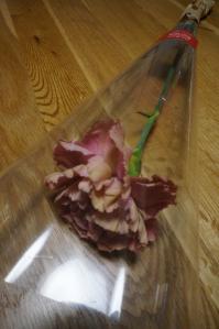 20120513-13 mothers day (532x800)