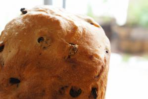20120523-20 raisin bread (800x532)