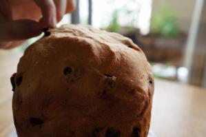 20120523-17 raisin bread (800x532)