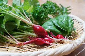 20120530-11 vegetables (800x532)