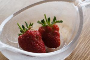 20120530-02 the first strawberry (800x532)