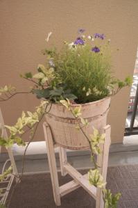 20120516-17 flower (532x800)