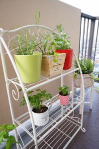 20120516-07 gardening (532x800)