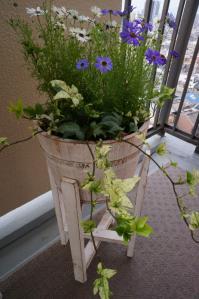 20120520-10 flower (532x800)