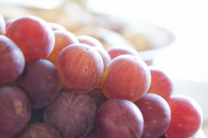 20120917-07 grapes (640x425)