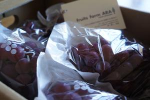 20120917-03 grapes (640x425)